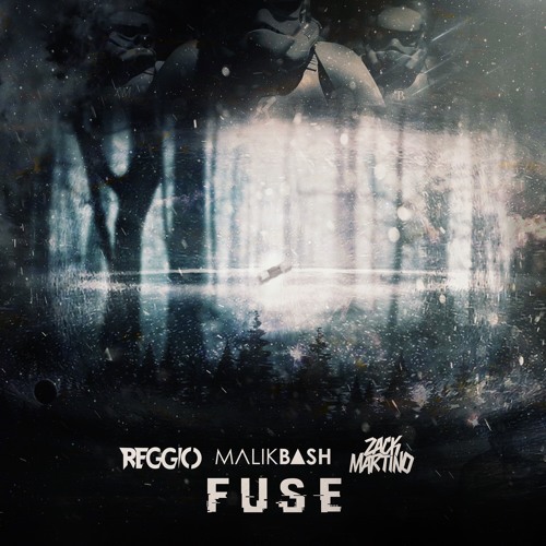 Fuse cover